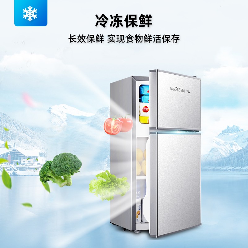 新飞（Frestec）小型冰箱双门家用宿舍寝室冷藏冷冻小冰箱双开门式商品图片